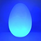 Sanselys – Egg  thumbnail