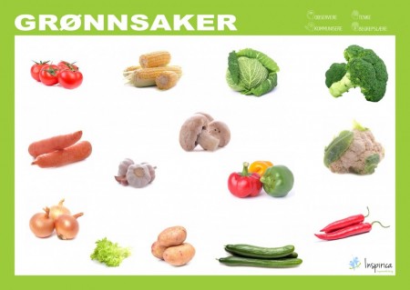 Begrepstavler 20 stk - Startpakke