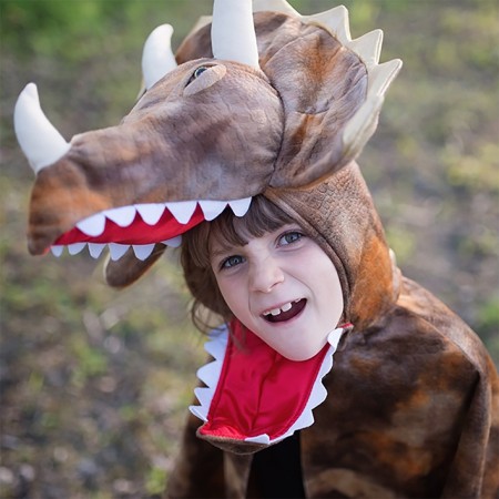 Triceratops Dinosaur